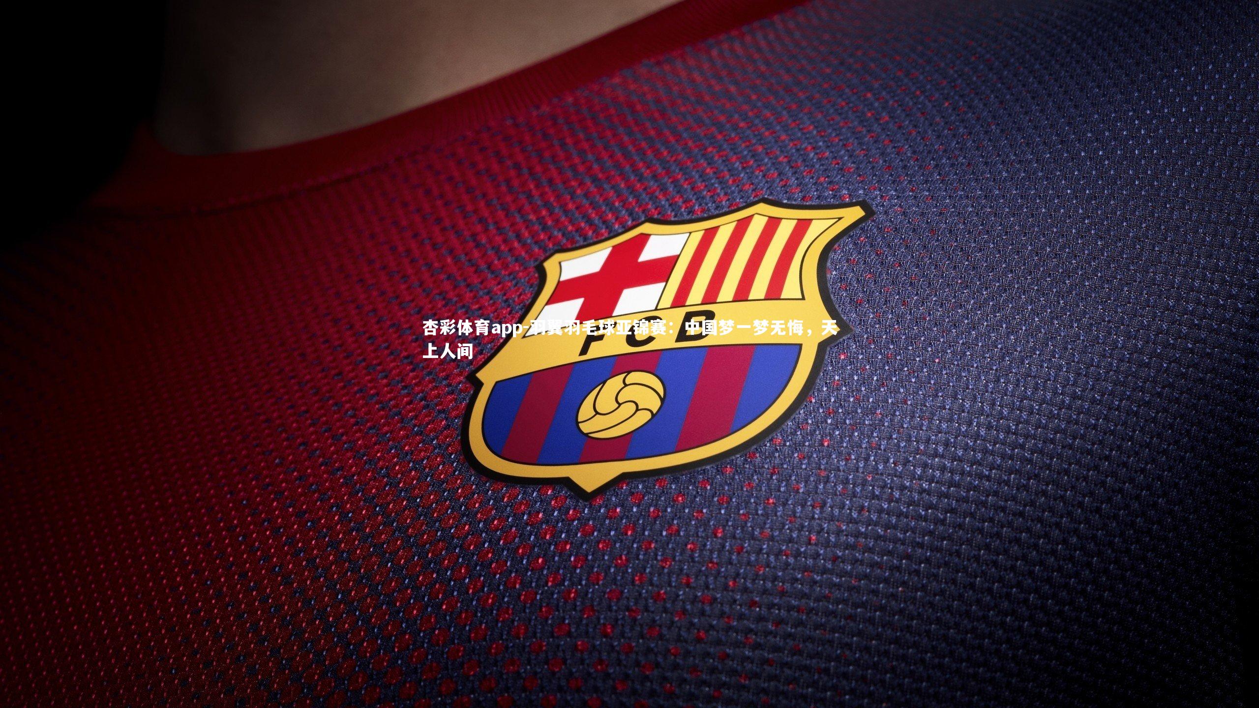 羽翼羽毛球亚锦赛:中国梦一梦无悔,天上人间