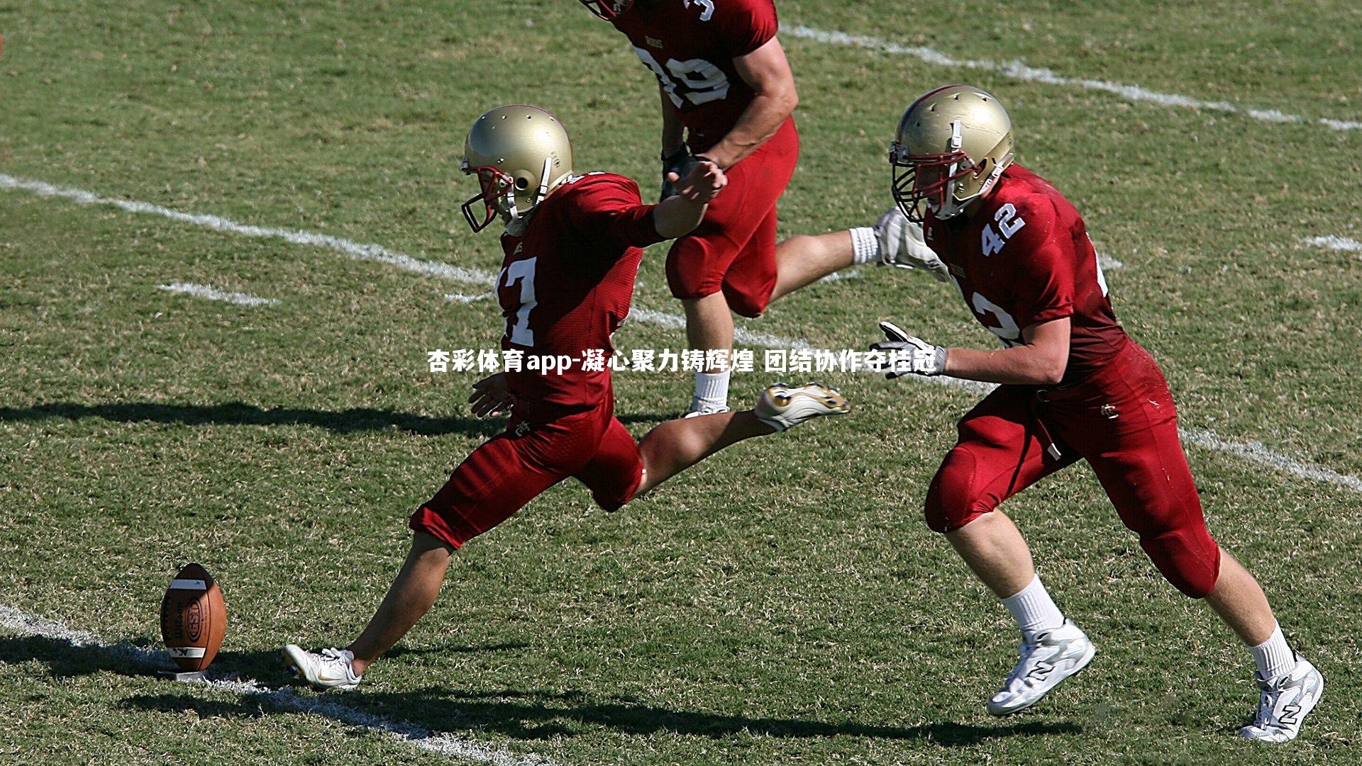 杏彩体育app-凝心聚力铸辉煌 团结协作夺桂冠