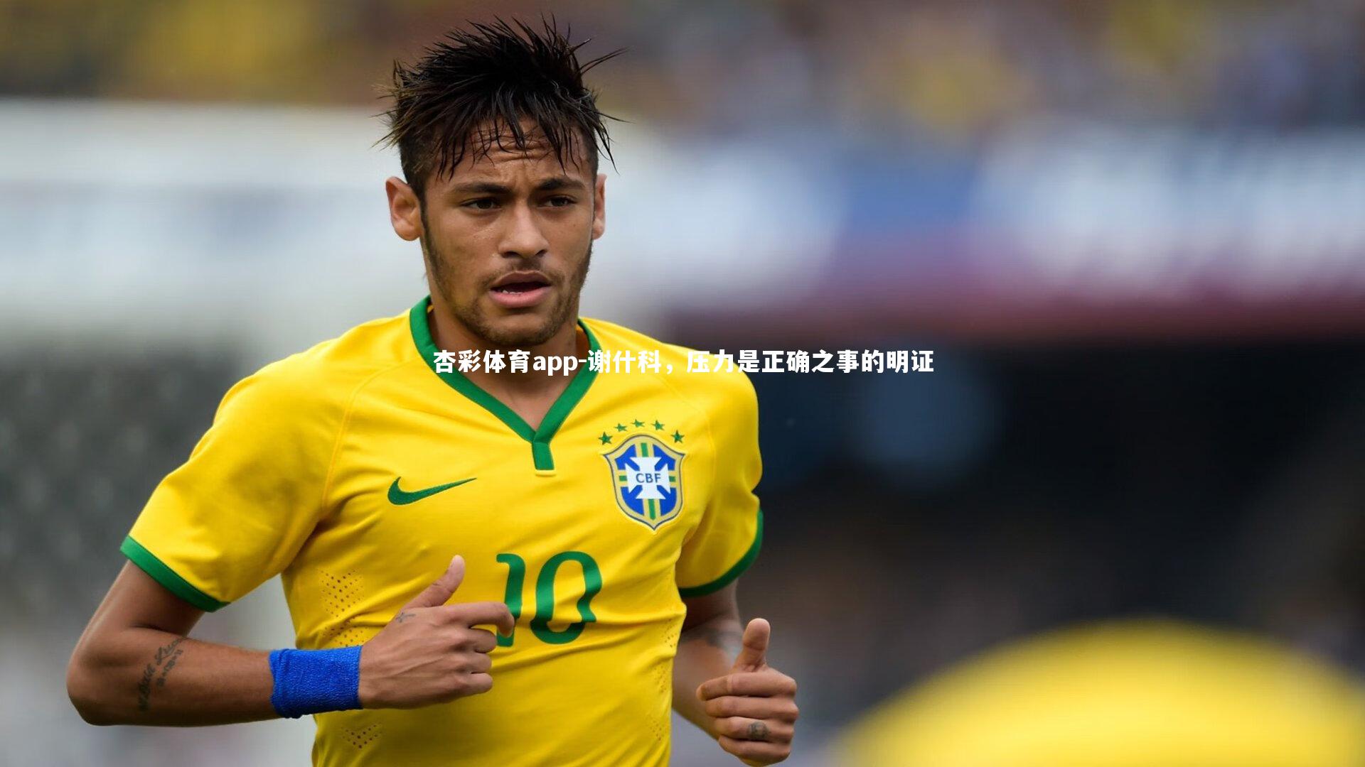 谢什科,压力是正确之事的明证