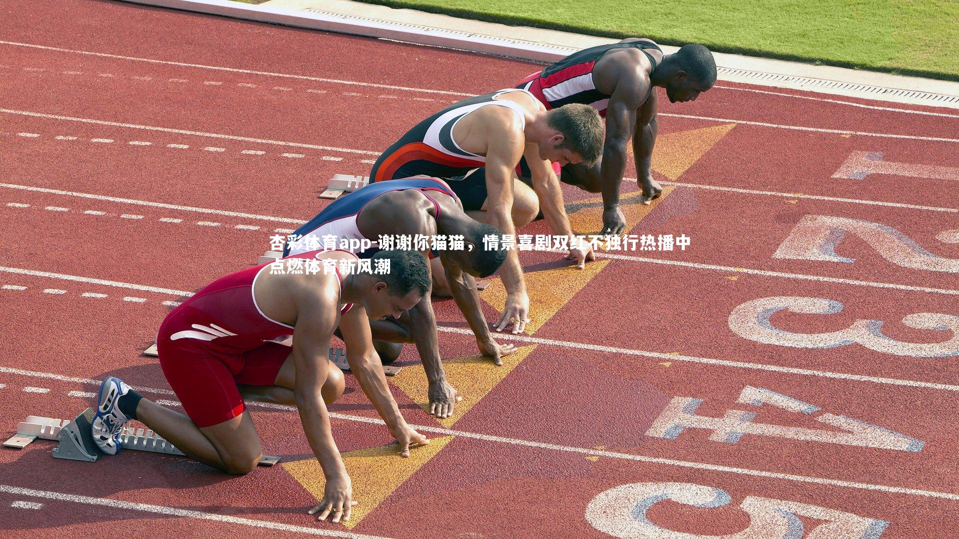 谢谢你猫猫,情景喜剧双红不独行热播中点燃体育新风潮